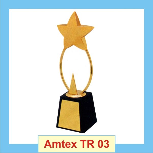 Raised Star trophy