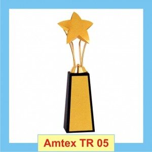 metallic Star Trophy with Hieghted base