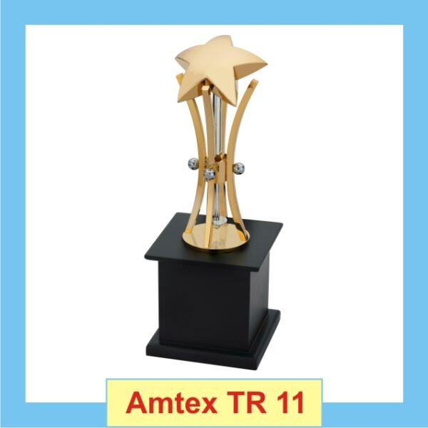 Star Trophy with Golden Body