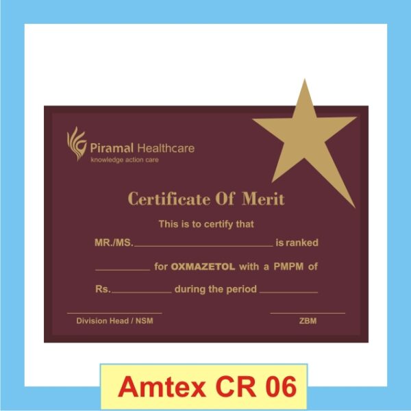Classy Metal Shield Certificate